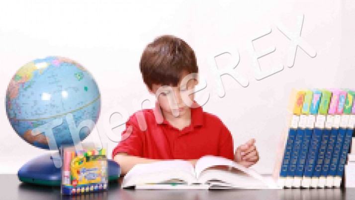 Cras non cursus enim